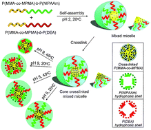 Graphical abstract: Construction of mixed micelle with cross-linked core and dual responsive shells