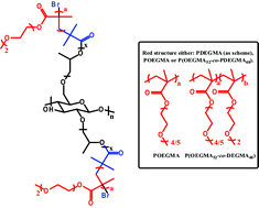 Graphical abstract: Thermo-responsive cellulose-based architectures: tailoring LCST using poly(ethylene glycol) methacrylates