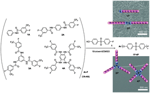 Graphical abstract: Synthesis and physical gelation induced by self-assembly of well-defined poly(arylene ether sulfone)s with various numbers of arms