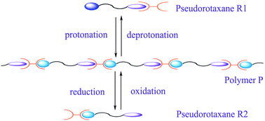 Graphical abstract: Novel electrochemical and pH stimulus-responsive supramolecular polymer with disparate pseudorotaxanes as relevant unimers