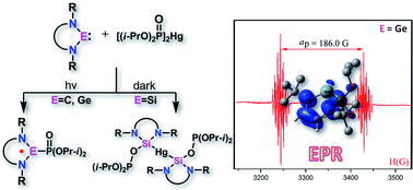 Graphical abstract: Different electronic structure of phosphonyl radical adducts of N-heterocyclic carbenes, silylenes and germylenes: EPR spectroscopic study and DFT calculations