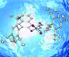 Graphical abstract: Asymmetric Brønsted acid catalysis in aqueous solution