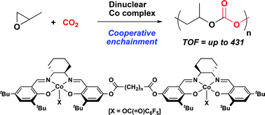 Graphical abstract: Bimetallic mechanism operating in the copolymerization of propylene oxide with carbon dioxide catalyzed by cobalt–salen complexes