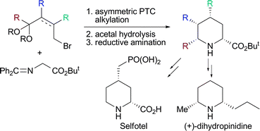 Graphical abstract: Catalytic asymmetric synthesis of cyclic amino acids and alkaloid derivatives: application to (+)-dihydropinidine and Selfotel synthesis