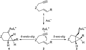 Graphical abstract: Mechanism of the gold-catalyzed cyclopropanation of alkenes with 1,6-enynes