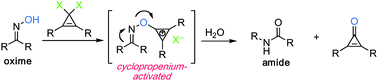 Graphical abstract: Cyclopropenium-activated Beckmann rearrangement. Catalysis versus self-propagation in reported organocatalytic Beckmann rearrangements