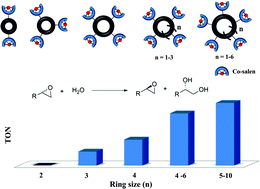 Graphical abstract: The bigger, the better: Ring-size effects of macrocyclic oligomeric Co(iii)-salen catalysts