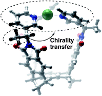 Graphical abstract: Controlling dynamic stereoisomerism in transition-metal folded baskets