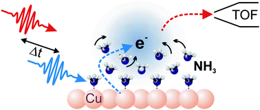 Graphical abstract: Solvation dynamics of surface-trapped electrons at NH3 and D2O crystallites adsorbed on metals: from femtosecond to minute timescales