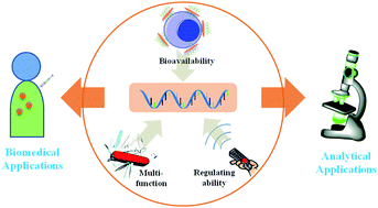 Graphical abstract: Engineering DNA aptamers for novel analytical and biomedical applications