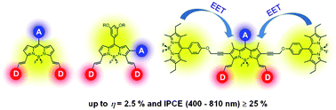 Graphical abstract: Optimization of distyryl-Bodipy chromophores for efficient panchromatic sensitization in dye sensitized solar cells