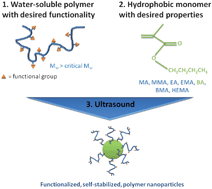 Graphical abstract: A simple one-step sonochemical route towards functional hairy polymer nanoparticles