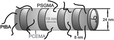 Graphical abstract: ABC triblock copolymer hamburger-like micelles, segmented cylinders, and Janus particles