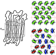 Graphical abstract: Polymer crystal–melt interfaces and nucleation in polyethylene