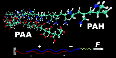 Graphical abstract: Mechanomutable properties of a PAA/PAH polyelectrolyte complex: rate dependence and ionization effects on tunable adhesion strength