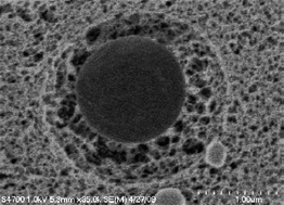 Graphical abstract: Hierarchically structured, hyaluronic acid-based hydrogel matrices via the covalent integration of microgels into macroscopic networks