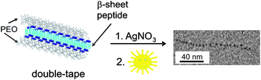 Graphical abstract: Controlled growth of silver nanoparticle arrays guided by a self-assembled polymer–peptide conjugate