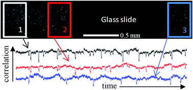 Graphical abstract: Ultra-long range correlations of the dynamics of jammed soft matter