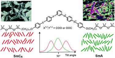 Graphical abstract: Silylated bent-core molecules: the influence of the direction of the carboxyl connecting groups on the mesophase behaviour