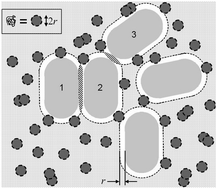 Graphical abstract: Polymer-induced phase separation in Escherichia coli suspensions