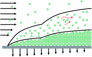 Graphical abstract: Suspension flow modelling in particle migration and microfiltration