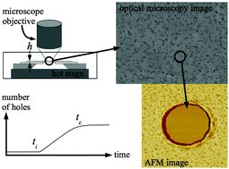 Graphical abstract: Hole nucleation in free-standing polymer membranes: the effects of varying molecular architecture