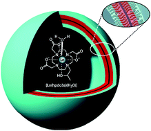 Graphical abstract: Block copolymer vesicles containing paramagnetic lanthanide complexes: a novel class of T1- and CEST MRI contrast agents