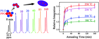 Graphical abstract: Tracking the interdiffusion of polymers at a molecular level by 1H dipolar filter solid-state NMR under fast magic angle spinning