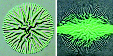 Graphical abstract: Hierarchical wrinkling patterns