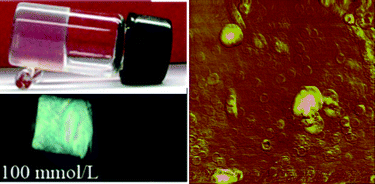 Graphical abstract: A gel state from densely packed multilamellar vesicles in the crystalline state
