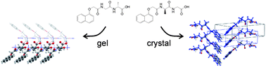 Graphical abstract: The delicate balance between gelation and crystallisation: structural and computational investigations