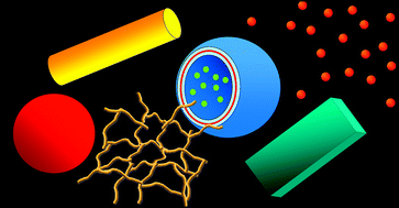 Graphical abstract: Soft matter nanoparticles with various shapes and functionalities can form through electrostatic self-assembly