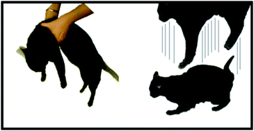 Graphical abstract: Why size and speed matter: frequency dependence and the mechanical properties of biomolecules