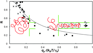 Graphical abstract: Suction of hydrosoluble polymers into nanopores