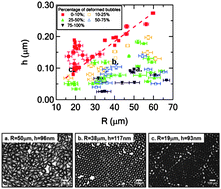 Graphical abstract: Elastic instability of polymer-shelled bubbles formed from air-in-oil-in-water compound bubbles