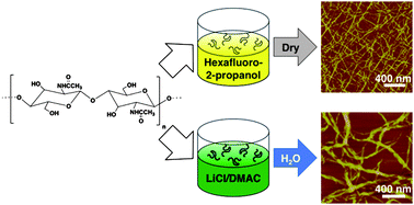 Graphical abstract: A facile bottom-up route to self-assembled biogenic chitin nanofibers