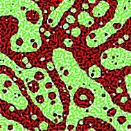 Graphical abstract: Pinning of domains for fluid–fluid phase separation in lipid bilayers with asymmetric dynamics
