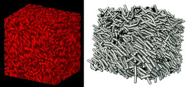 Graphical abstract: Nematic order in suspensions of colloidal rods by application of a centrifugal field