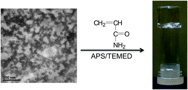 Graphical abstract: Hybrid, elastomeric hydrogels crosslinked by multifunctional block copolymer micelles