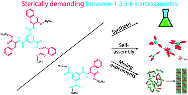 Graphical abstract: Sterically demanding benzene-1,3,5-tricarboxamides: tuning the mechanisms of supramolecular polymerization and chiral amplification