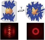 Graphical abstract: Multidimensional structures made by gold nanoparticles with shape-adaptive grafting layers