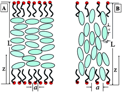 Graphical abstract: Surfactant driven surface anchoring transitions in liquid crystal thin films