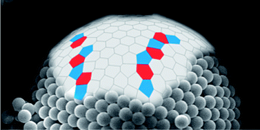 Graphical abstract: Reconstruction of the 3D structure of colloidosomes from a single SEM image