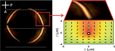 Graphical abstract: Elastic anisotropy at a glance: the optical signature of disclination lines