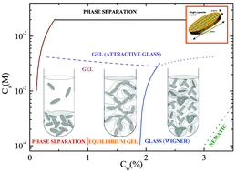 Graphical abstract: A fresh look at the Laponite phase diagram