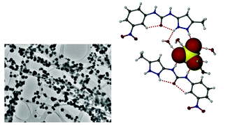 Graphical abstract: Anion tuning of the rheology, morphology and gelation of a low molecular weight salt hydrogelator