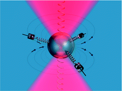 Graphical abstract: Brownian motion in a Maxwell fluid