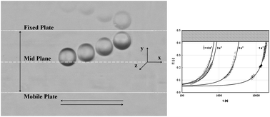 Graphical abstract: Migration of a sphere in a viscoelastic fluid under planar shear flow: Experiments and numerical predictions