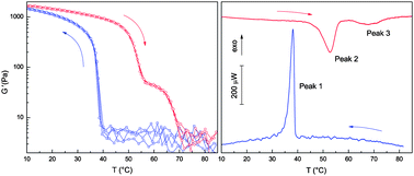 Graphical abstract: Gelation processes in the non-stoichiometric polylectrolyte–surfactant complex between κ-carrageenan and dodecyltrimethylammonium chloride in KCl