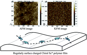 Graphical abstract: Regular undulation and polarization modulation on the film surface of a planarly aligned SmC* polymer